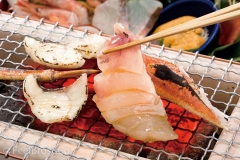 shunzo016