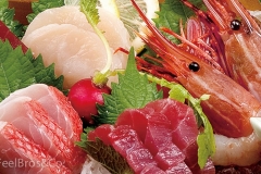 shunzo_020